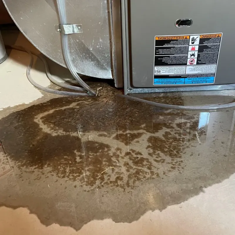 Pipe Burst and Leak Restoration in Cherry Hill, VA