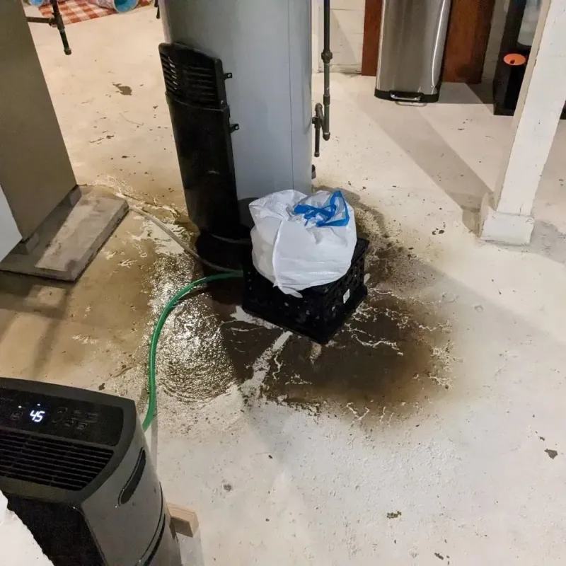 Sewage Backup Cleanup Service in Cherry Hill, VA